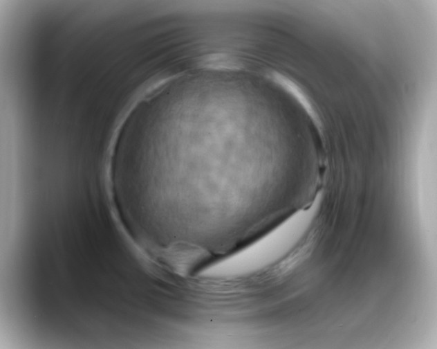 X0000088471434200706051334