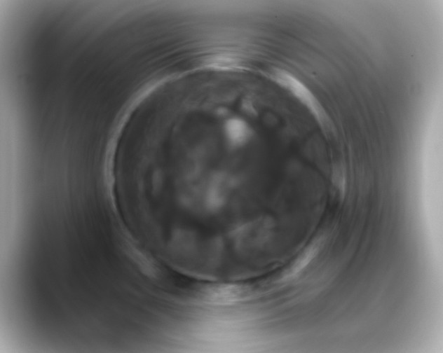 X0000088471435200706051334