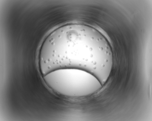 X0000088471437200706051334