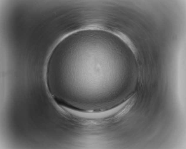 X0000088471438200706051334