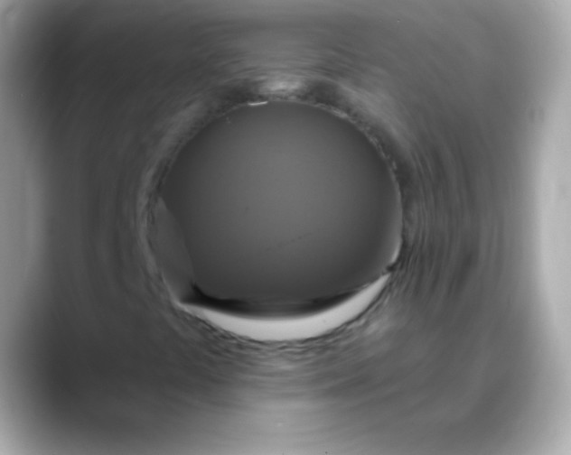 X0000088471441200706051334