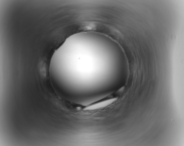 X0000088471442200706051334