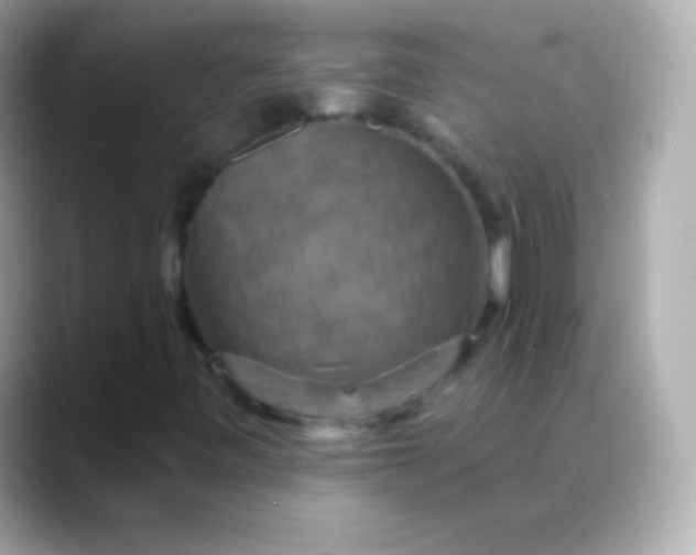 X0000088471443200706051334