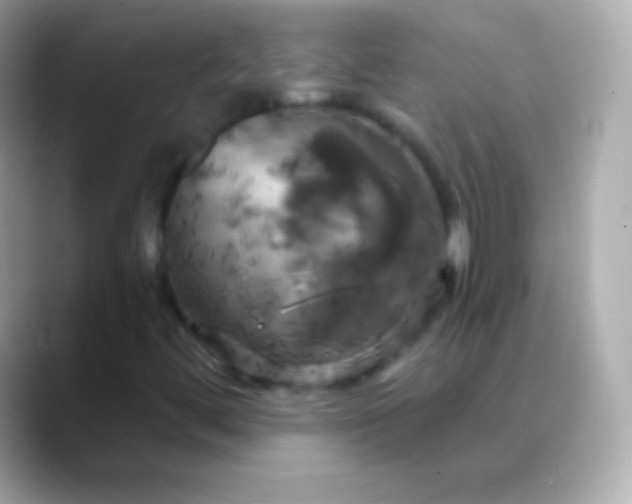 X0000088471444200706051334