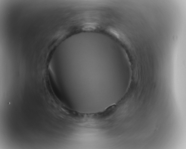 X0000088471445200706051334