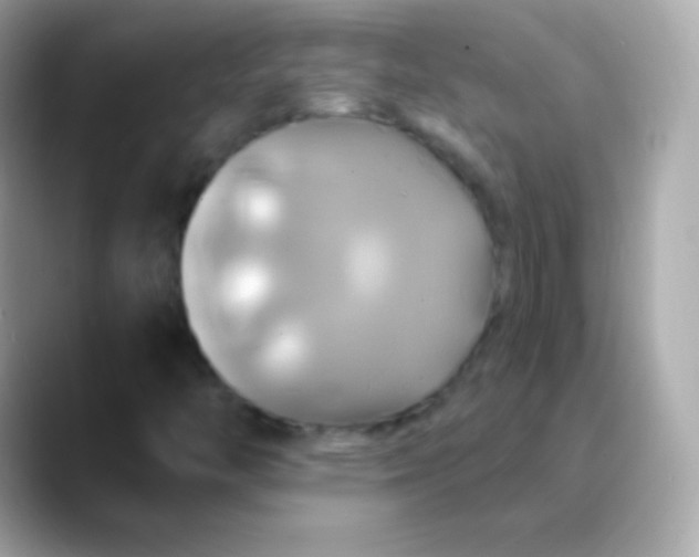 X0000088471446200706051334