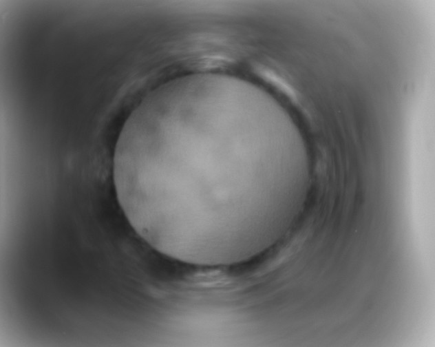 X0000088471447200706051334