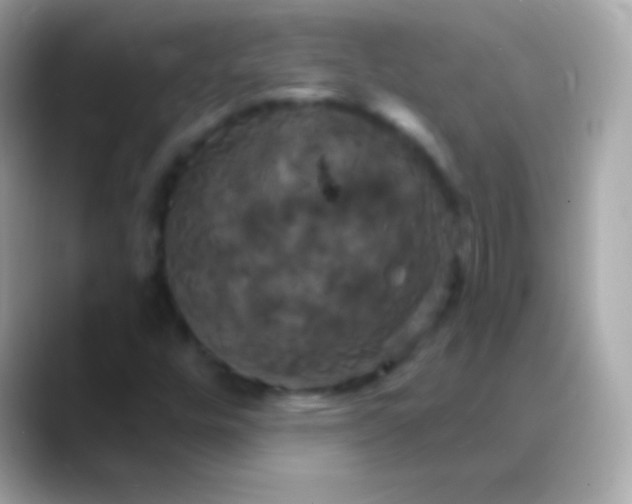 X0000088471448200706051334