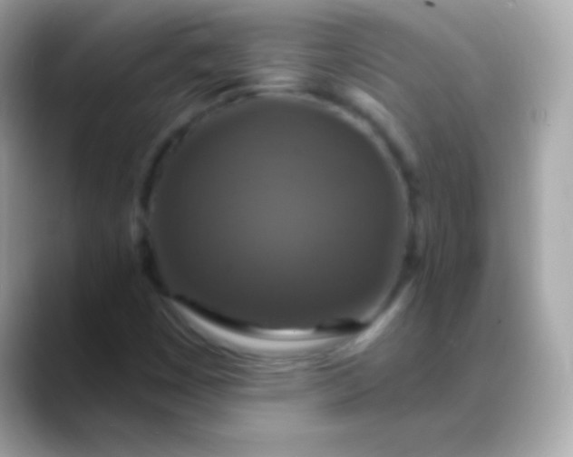 X0000088471449200706051334