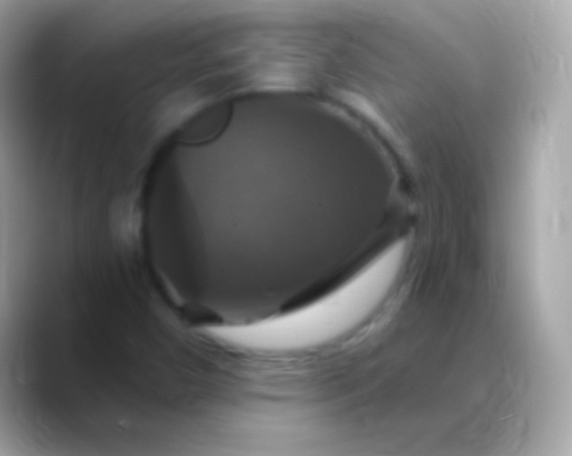 X0000088471450200706051334