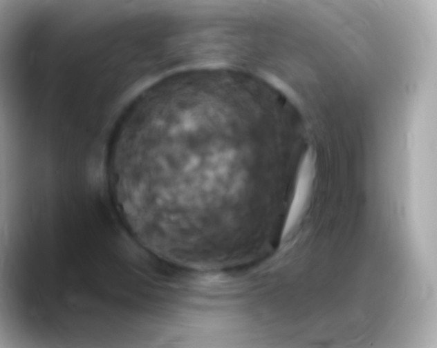 X0000088471452200706051333