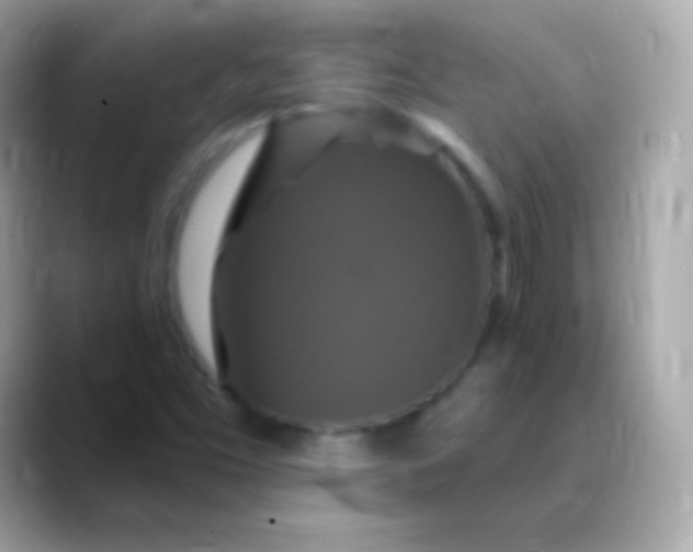 X0000088471453200706051333