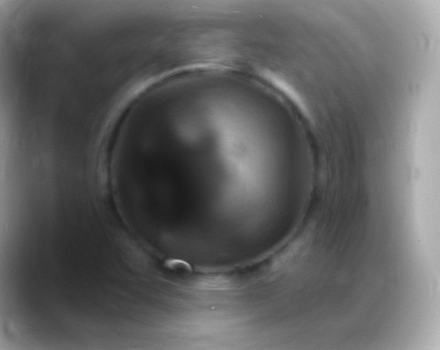 X0000088471455200706051333