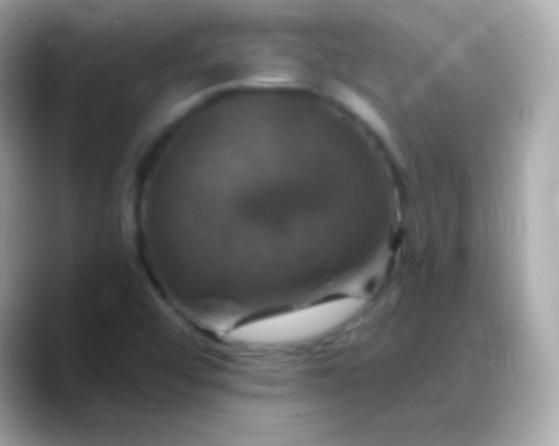 X0000088471456200706051333