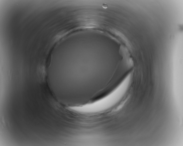 X0000088471457200706051333