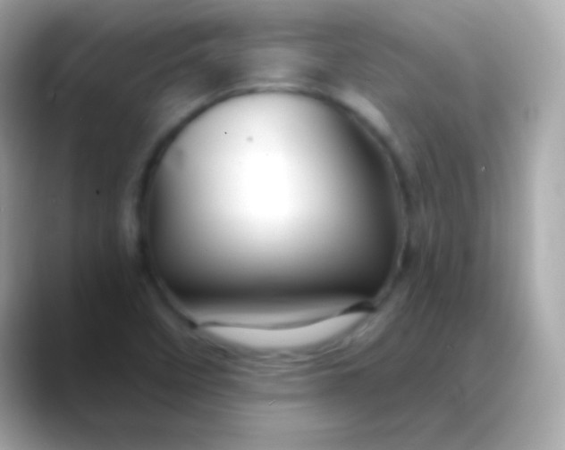 X0000088471458200706051333