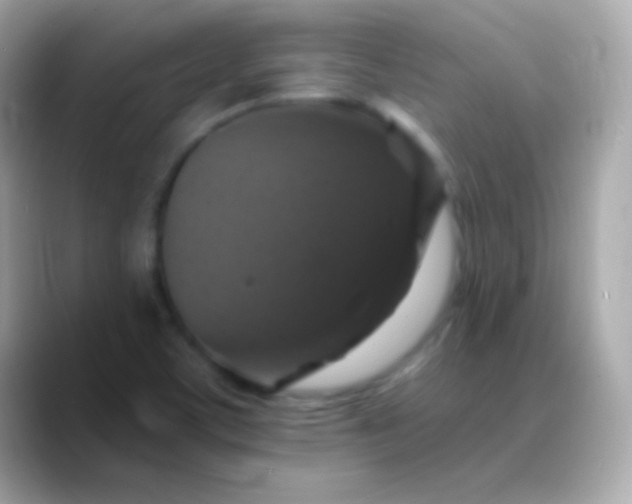 X0000088471459200706051333