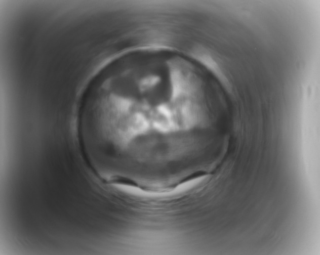 X0000088471460200706051333