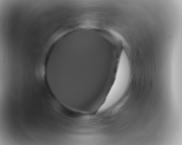 X0000088471461200706051333