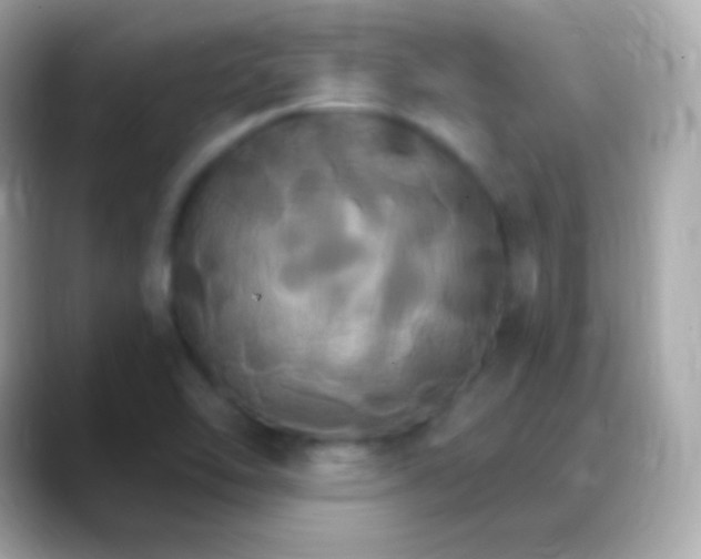 X0000088471462200706051333