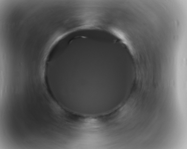 X0000088471463200706051333