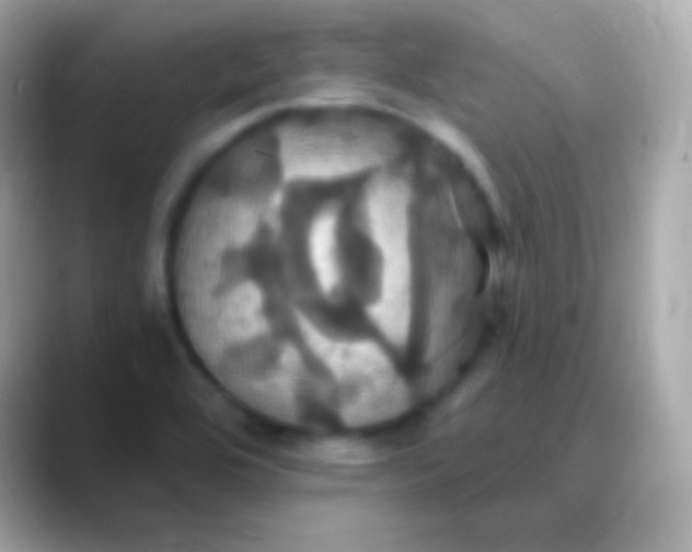 X0000088471464200706051333