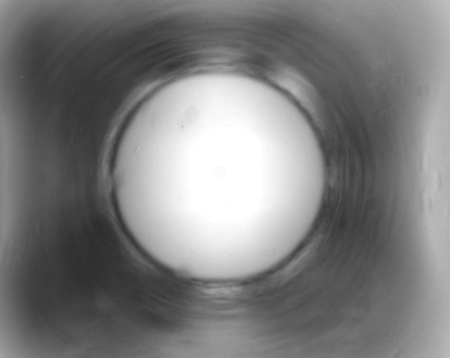 X0000088471466200706051333