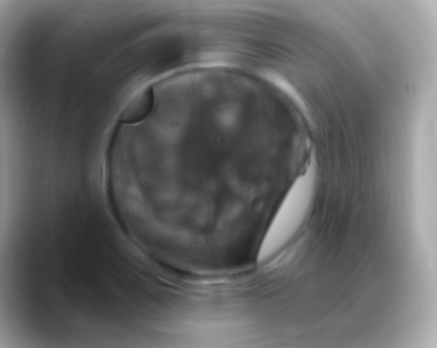 X0000088471467200706051333