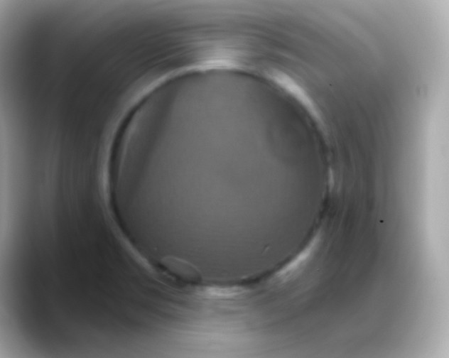 X0000088471469200706051333