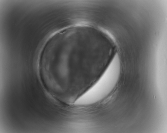 X0000088471471200706051333