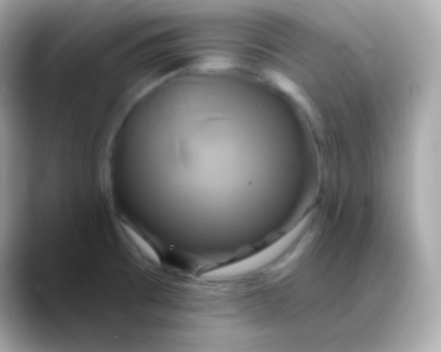 X0000088471473200706051333