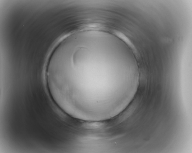 X0000088471474200706051333