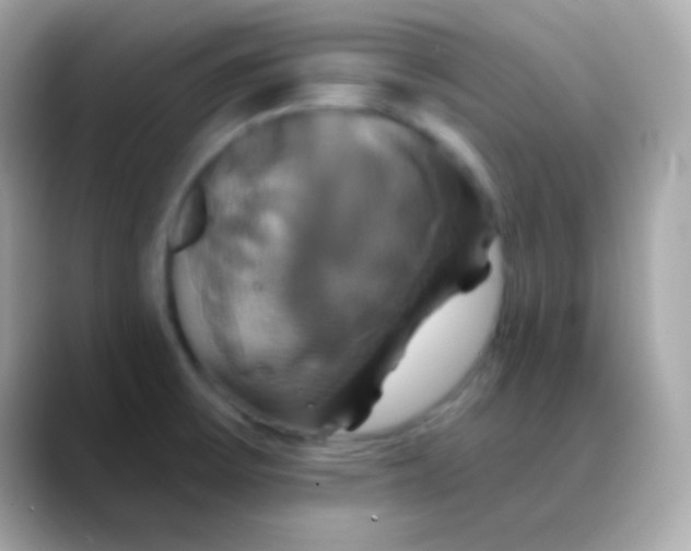 X0000088471475200706051333