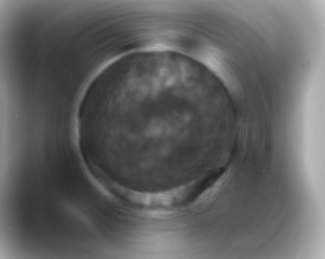 X0000088471476200706051333