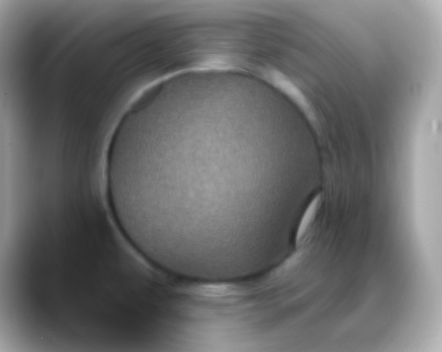 X0000088471479200706051333