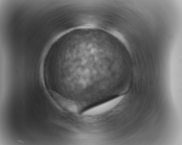 X0000088471480200706051333