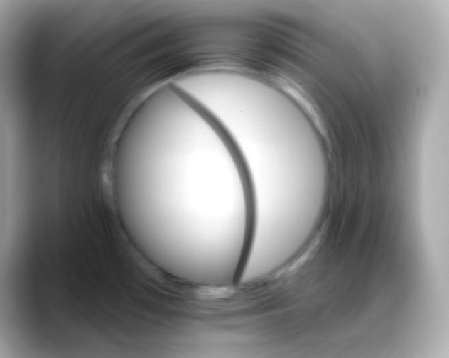 X0000088471481200706051333