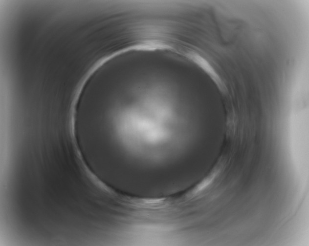 X0000088471484200706051333