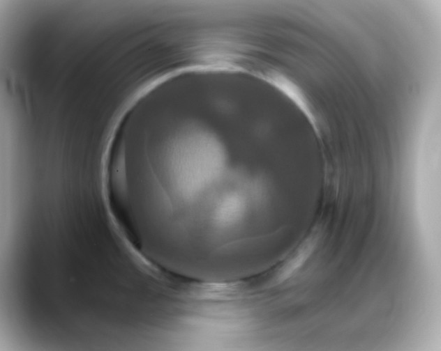 X0000088471485200706051333