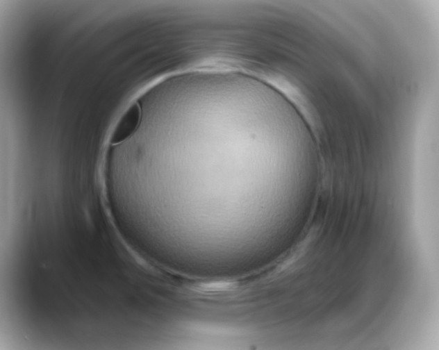 X0000088471486200706051333