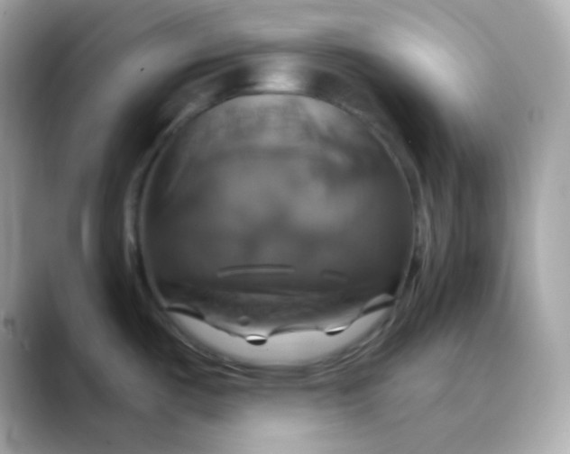 X0000088471487200706051333