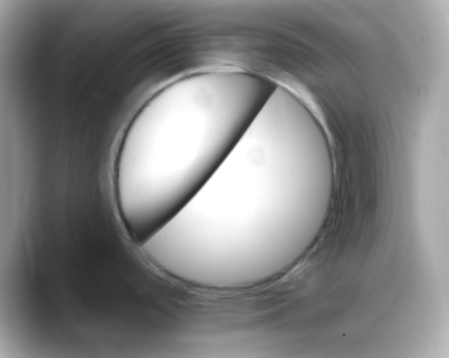 X0000088471488200706051333