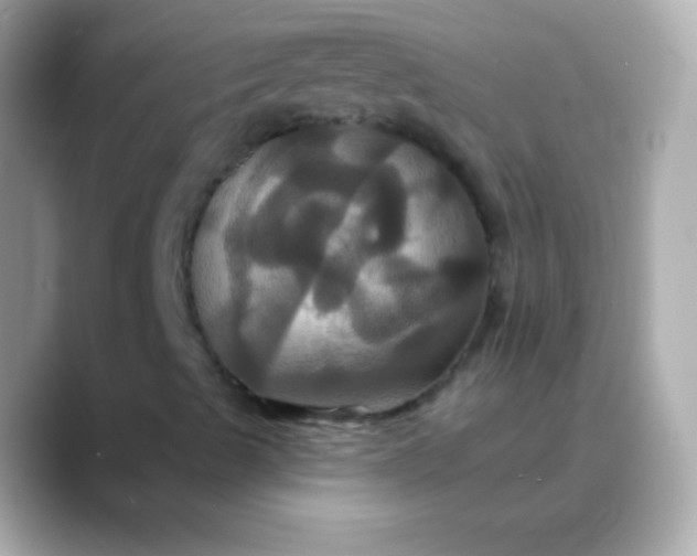 X0000088471489200706051333