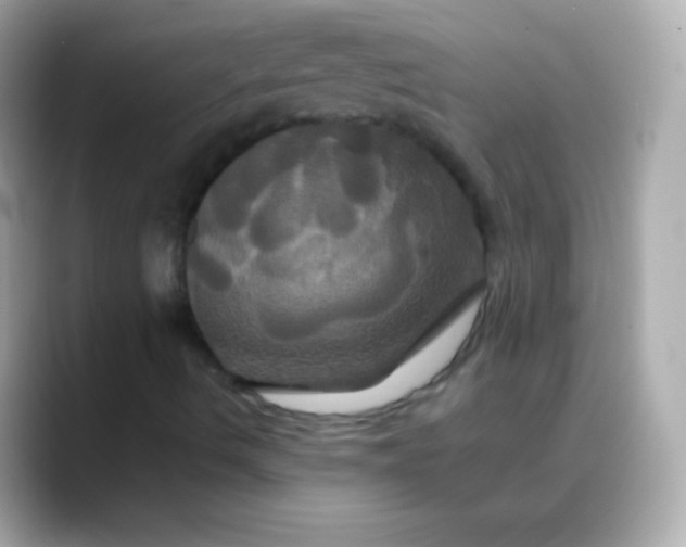 X0000088471490200706051333