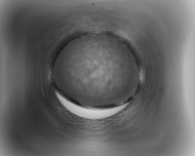 X0000088471492200706051333