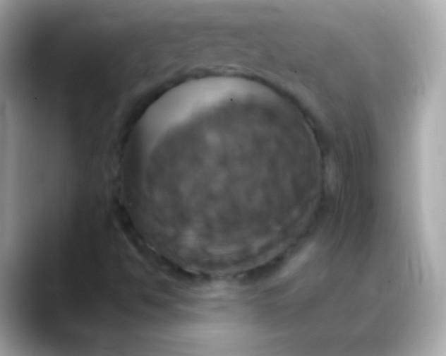 X0000088471494200706051333