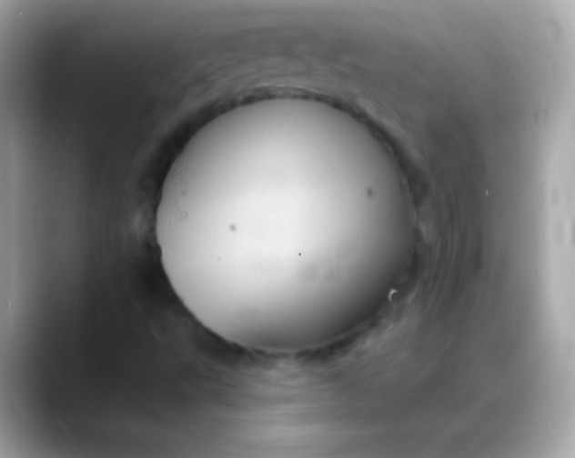 X0000088471495200706051333