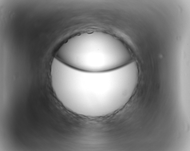 X0000088471496200706051333