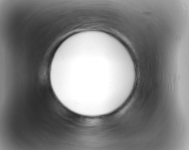 X0000088471498200706051333