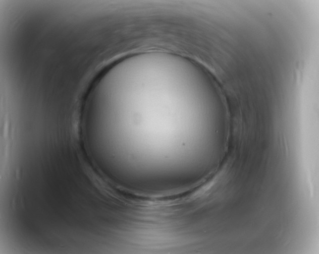 X0000088471499200706051333